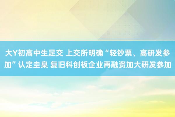 大Y初高中生足交 上交所明确“轻钞票、高研发参加”认定圭臬 复旧科创板企业再融资加大研发参加