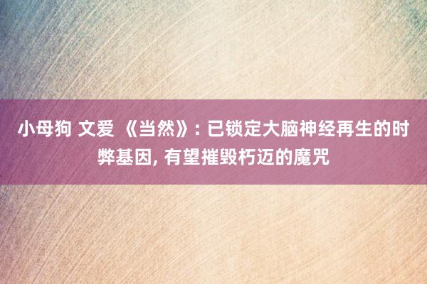小母狗 文爱 《当然》: 已锁定大脑神经再生的时弊基因， 有望摧毁朽迈的魔咒