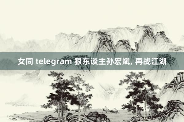 女同 telegram 狠东谈主孙宏斌， 再战江湖