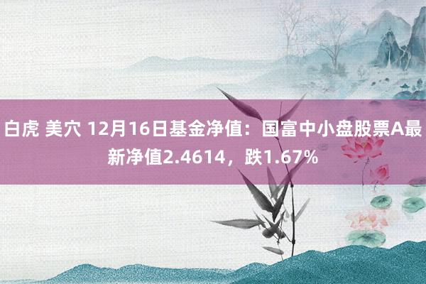白虎 美穴 12月16日基金净值：国富中小盘股票A最新净值2.4614，跌1.67%