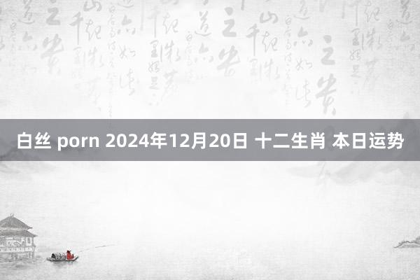 白丝 porn 2024年12月20日 十二生肖 本日运势