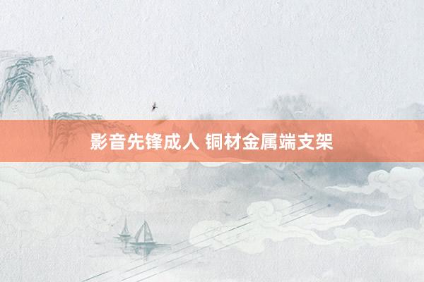 影音先锋成人 铜材金属端支架