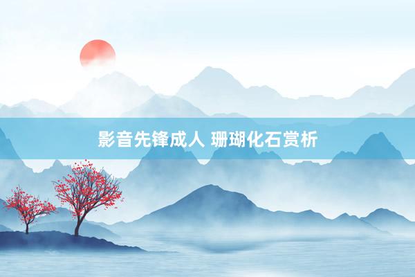 影音先锋成人 珊瑚化石赏析