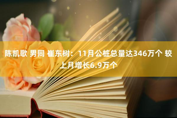 陈凯歌 男同 崔东树：11月公桩总量达346万个 较上月增长6.9万个