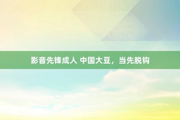影音先锋成人 中国大豆，当先脱钩
