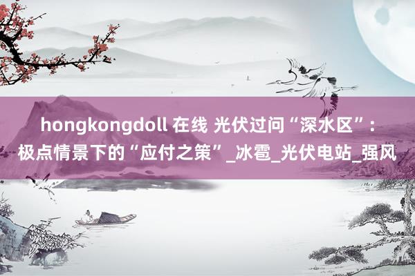 hongkongdoll 在线 光伏过问“深水区”：极点情景下的“应付之策”_冰雹_光伏电站_强风