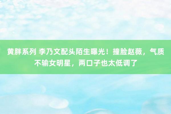 黄胖系列 李乃文配头陌生曝光！撞脸赵薇，气质不输女明星，两口子也太低调了